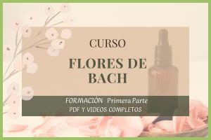 miniatura del curso