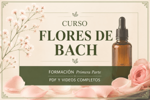 miniatura del curso