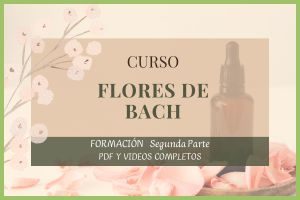 miniatura del curso