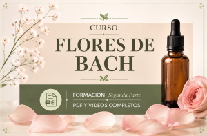 miniatura del curso