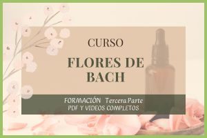 miniatura del curso
