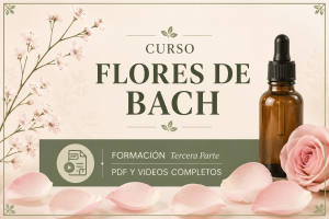 miniatura del curso