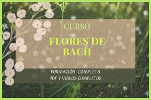 miniatura del curso