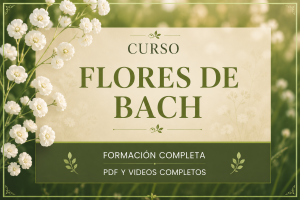 miniatura del curso