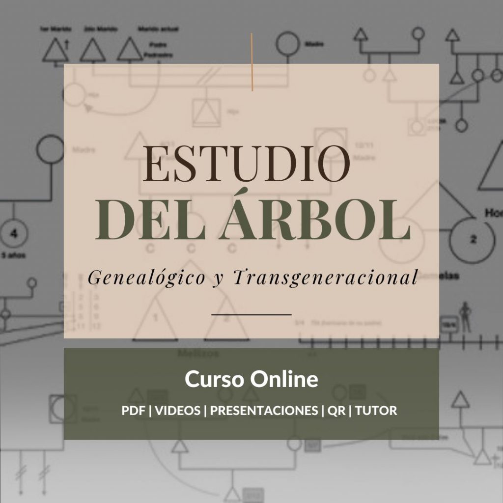 Curso online Estudio del Árbol Genealógico